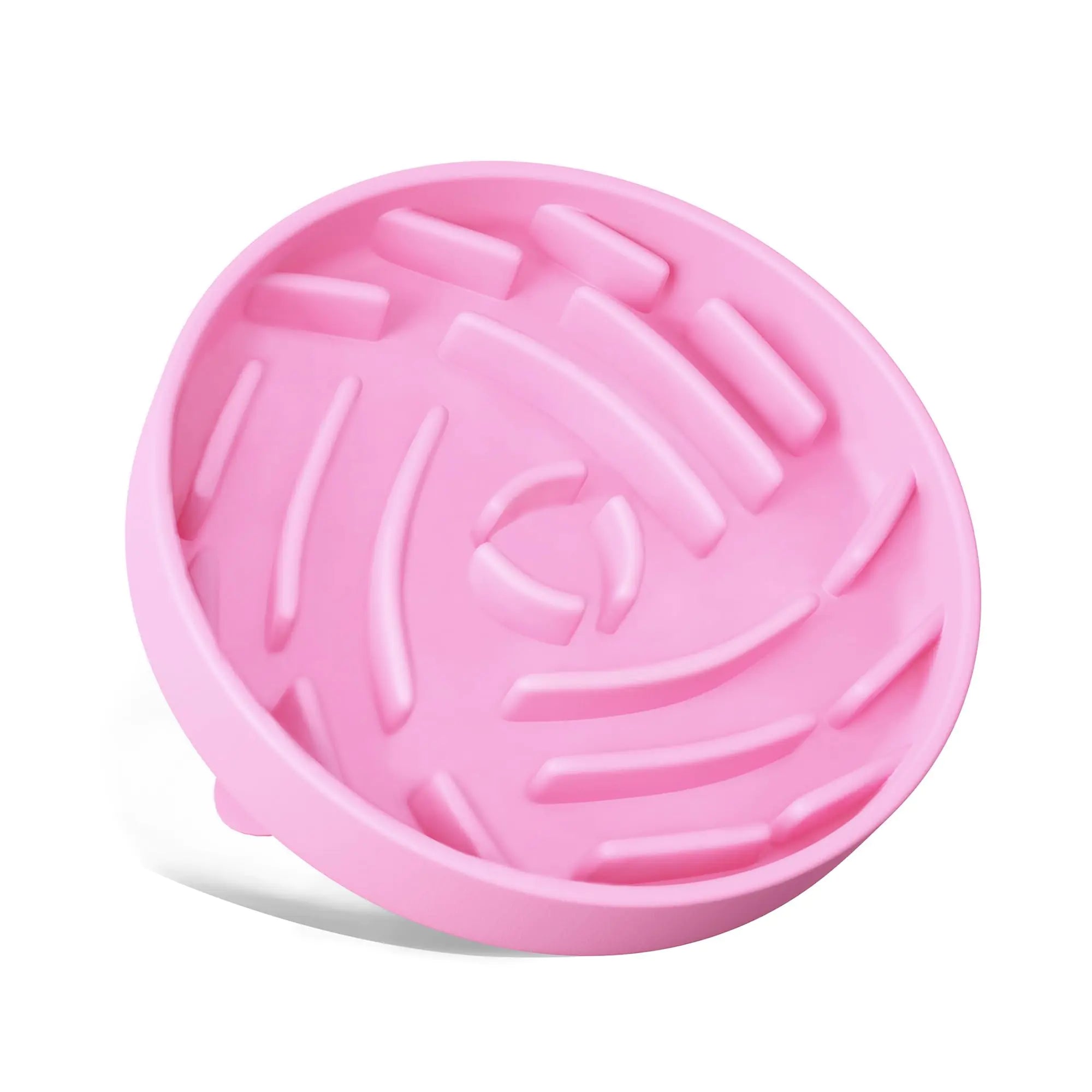 Slow Feeder Pet Bowl