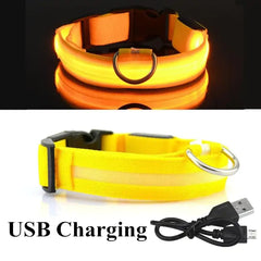 LED Pet Collar