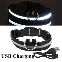 LED Pet Collar